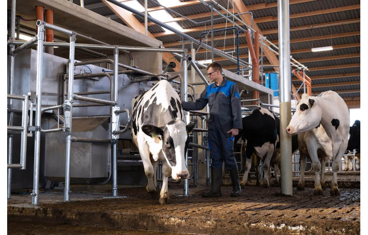 Роботизированная доильная установка«Волшебник»